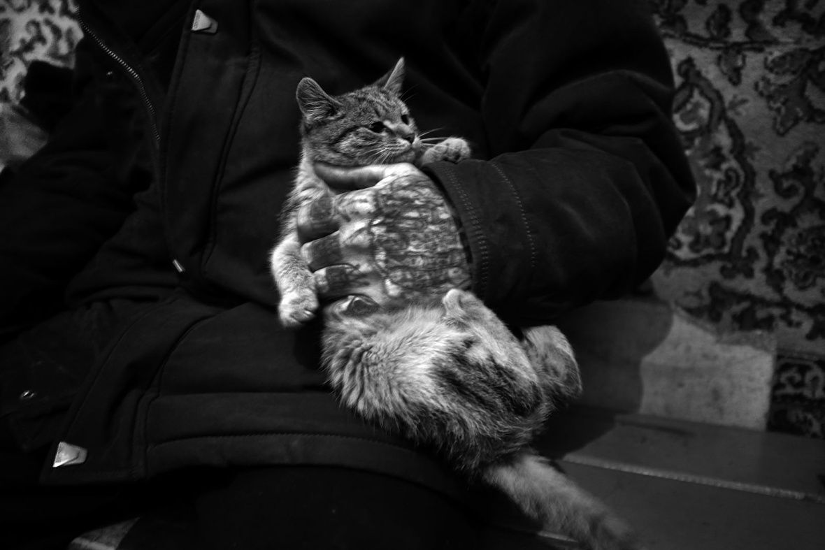 Котенок в руках кочегара. Село Дуэ, остров Сахалин, Татарский пролив. Фото: Олег Климов
