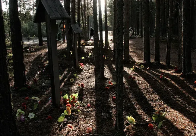 Site of mass executions and burial of White Sea Canal workers (near the firth and sixth gateways). Photo: Oleg Klimov