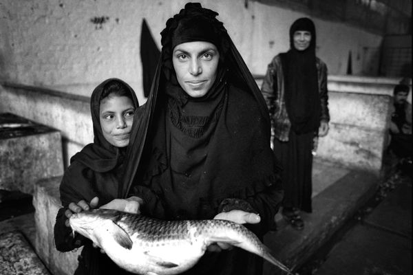 Iraq © Oleg Klimov