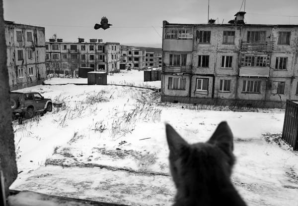 ‘It’s very hard every day to look through your own window and see a broken town. It breaks you inside, and you want to reach for a drink, even first thing in the morning. That’s why my wife a